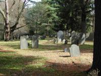 A shady graveyard with a mix of different size and shape gravestones.